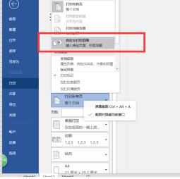 word2016怎样设置自定义打印范围 word2016中自定义打印范围的操作步骤截图