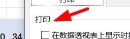 Excel数据透视表怎么设置打印选项-Excel数据透视表设置打印选项方法截图