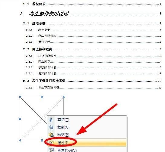 word如何插入动画-word插入Flash动画的详细步骤截图