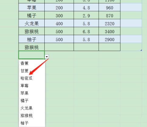 wps表格如何用Alt键插入下拉列表?wps表格用Alt键插入下拉列表的步骤教程截图