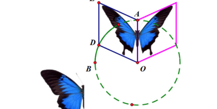 几何画板如何绘制蝴蝶动画 几何画板蝴蝶动画设计方法截图