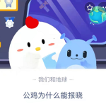 公鸡为什么能报晓蚂蚁庄园。