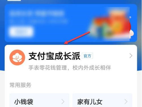 小天才手表支付宝怎么设置金额。