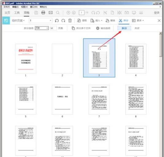 adobe acrobat reader dc怎么拆分pdf?adobe acrobat reader dc拆分pdf的方法截图