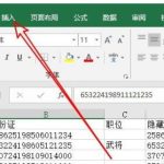 我来分享excel2019怎样给表格加页码