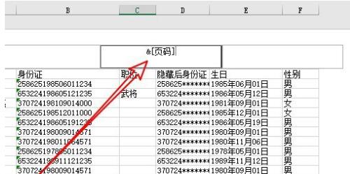 excel2019怎样给表格加页码?excel2019给表格加页码的方法截图