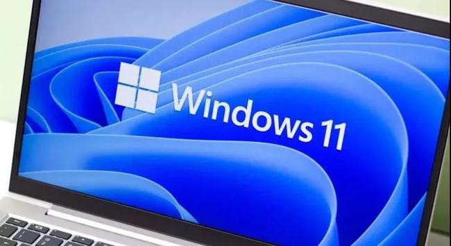 我来教你Windows11安装10.0.22000.100跳出0x80242008错误解决办法