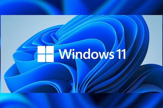 我来教你Win11预览体验计划显示你的电脑不满足Windows