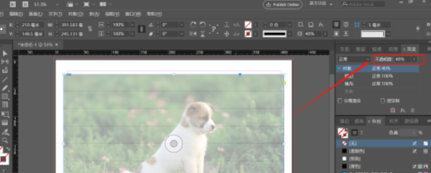 Indesign如何调整对象透明度?Indesign调整对象透明度教程截图