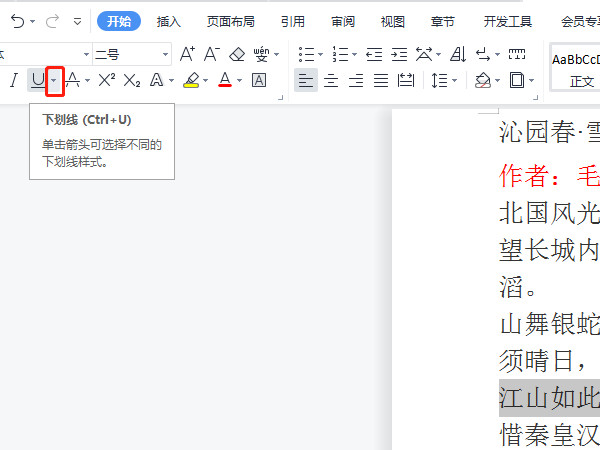 关于word如何给文字添加双实线