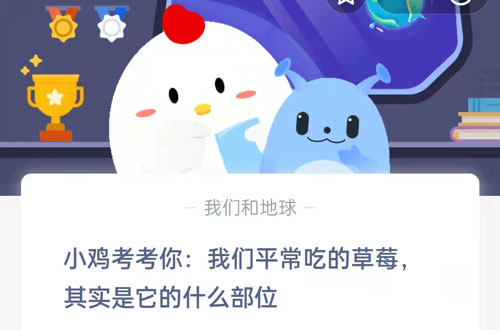 小鸡考考你，我们平常吃的草莓其实是它的什么部分