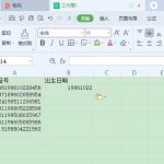 小编分享excel中出身日期怎么操作