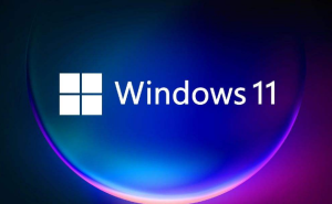 我来教你Windows11无法连接网络怎么办