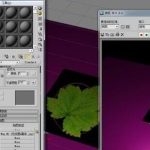 关于3dmax透明贴图怎么做