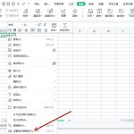 我来教你WPS表格里数字3.10104E+17如何改