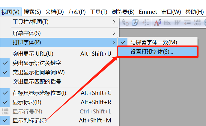 EditPlus打印文件字体怎么改？EditPlus设置打印字体技巧分享截图