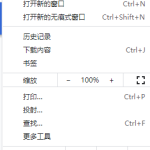 分享Chrome浏览器如何开启安全连接