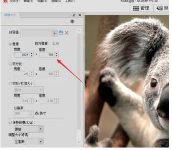 acdsee照片分辨率怎么改(2)