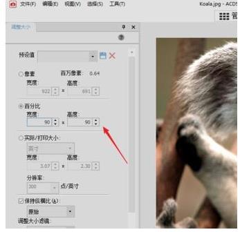 acdsee照片分辨率怎么改(3)
