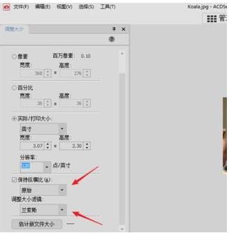 acdsee照片分辨率怎么改(5)