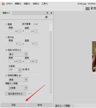 acdsee照片分辨率怎么改(6)