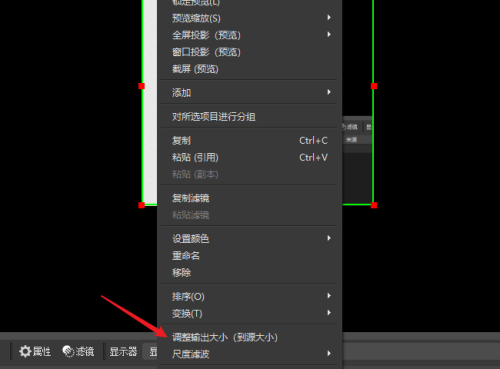 OBS Studio怎么选择录屏区域？OBS Studio选择录屏区域教程截图