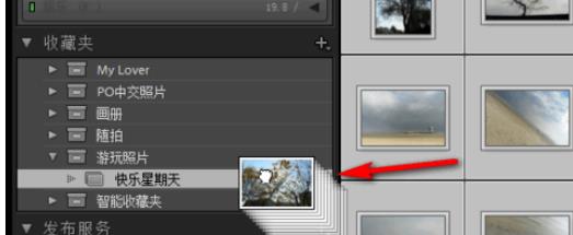 lightroom如何把照片放入收藏夹(4)