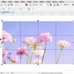 分享CorelDraw2020怎么分割图形