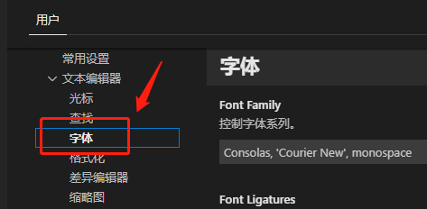 Vscode怎么设置字体大小?Vscode设置字体大小教程截图