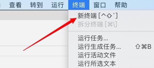 Vscode如何在终端显示结果？Vscode在终端显示结果教程截图