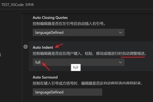 Vscode怎么设置键入时自动调整缩进?Vscode设置键入时自动调整缩进方法截图