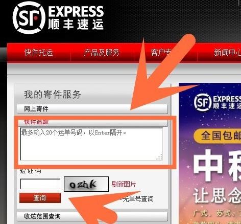 顺丰速运怎么查单号(3)