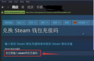 steam充值卡怎么使用?steam充值卡使用教程截图