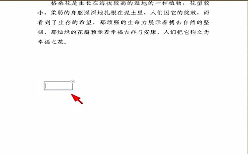 如何在金山pdf中添加文字(3)