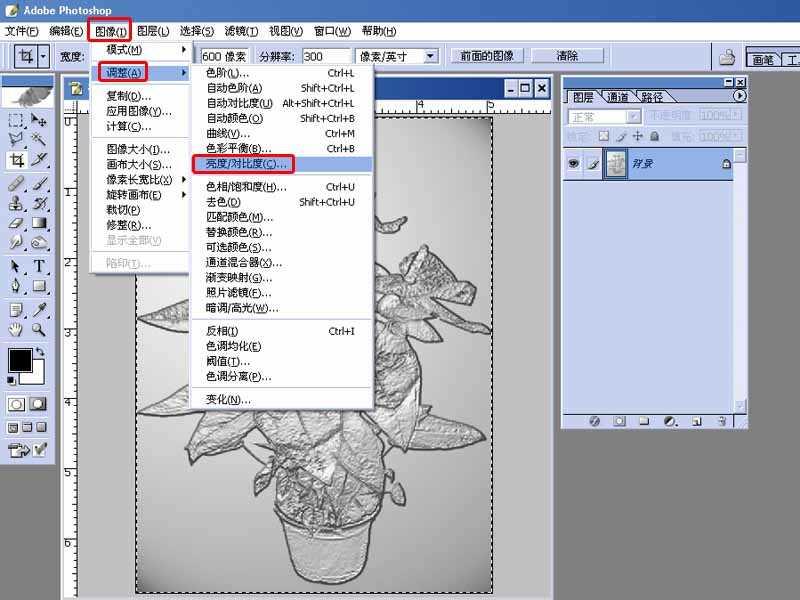 ps如何将普通照片制作有质感的金属画(10)