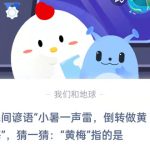 民间谚语小暑一声雷，倒转做黄梅，猜一猜黄梅指的是。