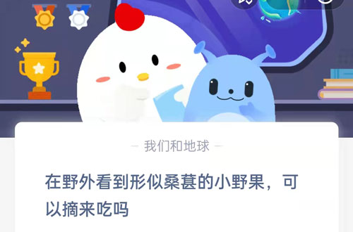 在野外看到形似桑葚的小野果可以摘来吃吗。