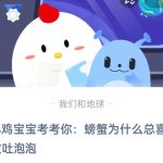 小鸡宝宝考考你，螃蟹为什么总喜欢吐泡泡。