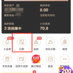 小编分享白条怎么提现出来。