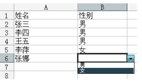 excel怎么添加下拉菜单(4)