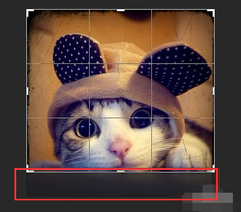 ps如何截取图片(4)