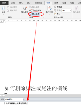word该怎么删除脚注(1)