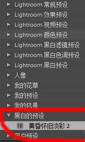 lr预设怎么导入？教你导入lr预设的详细操作方法(3)