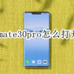 华为mate30pro如何打开双4g。