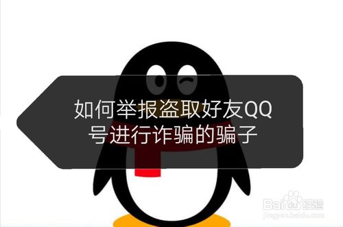 怎么举报盗取好友QQ号进行诈骗的骗子。