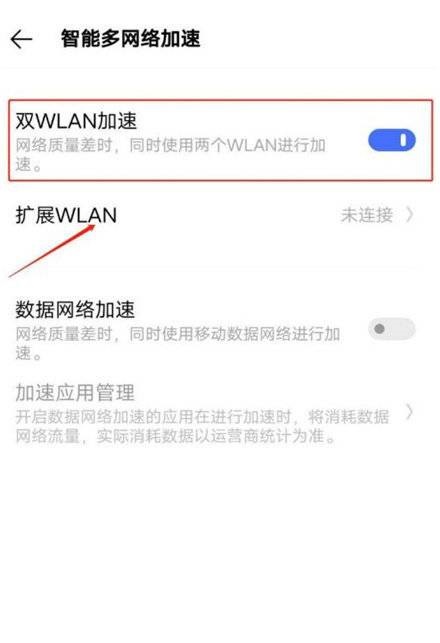 真我GT2Pro支不支持双WiFi?真我GT2Pro支不支持双WiFi介绍截图