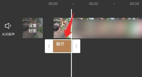 抖音如何让字幕竖起来？抖音字幕竖排制作方法截图