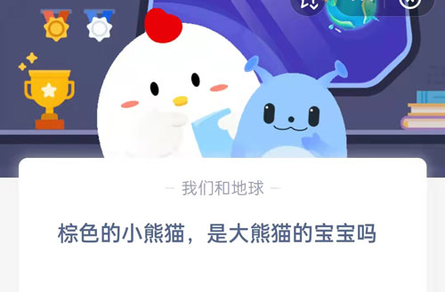 棕色的小熊猫，是大熊猫的宝宝吗?支付宝蚂蚁庄园4月29日答案