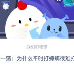 小编分享猜一猜：为什么平时打蟑螂很难打中