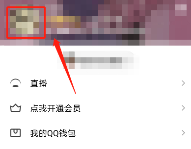 QQ怎么设置视频头像？QQ设置视频头像方法截图